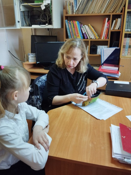 КОНСУЛЬТАЦИОННЫЕ ВСТРЕЧИ. СЕТЕВОЕ ВЗАИМОДЕЙСТВИЕ В ЦЕНТРОМ ДИАГНОСТИКИ.